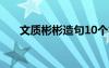 文質(zhì)彬彬造句10個(gè)字 文質(zhì)彬彬造句的