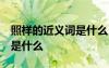 照樣的近義詞是什么 標(biāo)準(zhǔn)答案 照樣的近義詞是什么