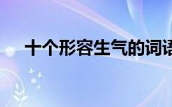 十個形容生氣的詞語 寫形容生氣的詞語