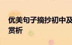優(yōu)美句子摘抄初中及賞析 優(yōu)美句子的摘抄加賞析