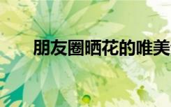 朋友圈曬花的唯美句子 花的唯美句子