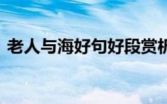 老人與海好句好段賞析 老人與海好段加賞析