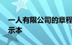 一人有限公司的章程模板 一人有限公司章程示本