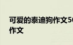 可愛的泰迪狗作文500字以上 可愛的泰迪狗作文