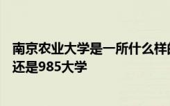 南京農(nóng)業(yè)大學(xué)是一所什么樣的大學(xué) 南京農(nóng)業(yè)大學(xué)是211大學(xué)還是985大學(xué)