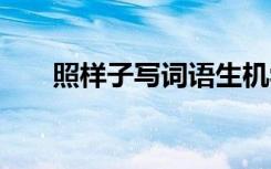 照樣子寫詞語生機勃勃 照樣子寫詞語
