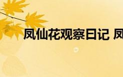 鳳仙花觀察曰記 鳳仙花成長觀察日記