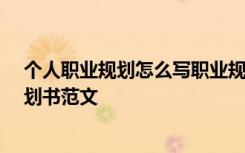 個(gè)人職業(yè)規(guī)劃怎么寫職業(yè)規(guī)劃范文500字 2021個(gè)人職業(yè)規(guī)劃書范文