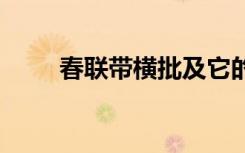 春聯(lián)帶橫批及它的意思 春聯(lián)帶橫批