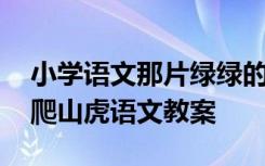 小學語文那片綠綠的爬山虎教案 那片綠綠的爬山虎語文教案
