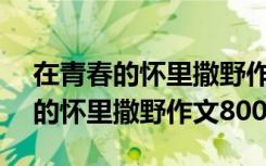 在青春的懷里撒野作文800字怎么寫 在青春的懷里撒野作文800字