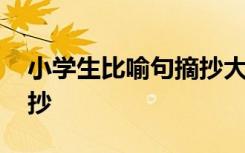 小學(xué)生比喻句摘抄大全 小學(xué)生常用比喻句摘抄