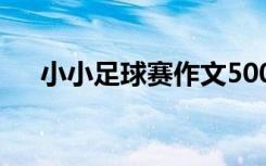 小小足球賽作文500字 小小足球賽作文