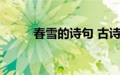 春雪的詩句 古詩 春雪的古代詩句