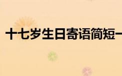 十七歲生日寄語(yǔ)簡(jiǎn)短一句話 十七歲生日寄語(yǔ)