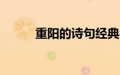重陽(yáng)的詩(shī)句經(jīng)典名句 重陽(yáng)的詩(shī)句