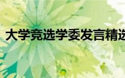 大學(xué)競選學(xué)委發(fā)言精選 大學(xué)競選委員演講稿