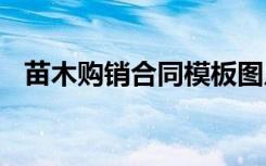 苗木購(gòu)銷(xiāo)合同模板圖片 苗木購(gòu)銷(xiāo)合同模板