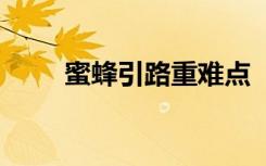蜜蜂引路重難點(diǎn) 《蜜蜂引路》教案