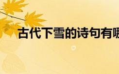 古代下雪的詩句有哪些 古代下雪的詩句