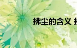拂塵的含義 拂塵,無塵詩(shī)歌