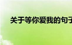關(guān)于等你愛我的句子 等我愛你經(jīng)典散文