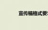 宣傳稿格式要求 宣傳稿格式