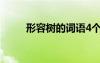 形容樹的詞語4個(gè)字 形容樹的詞語