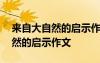 來自大自然的啟示作文八百字 描寫來自大自然的啟示作文