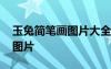 玉兔簡筆畫圖片大全簡單又漂亮 玉兔簡筆畫圖片