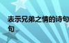 表示兄弟之情的詩句大全 表示兄弟之情的詩句