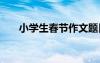 小學生春節(jié)作文題目 小學生春節(jié)作文