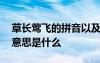 草長(zhǎng)鶯飛的拼音以及意思 草長(zhǎng)鶯飛的拼音和意思是什么