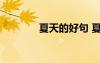 夏天的好句 夏天的好詞好句