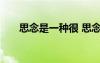思念是一種很 思念是一種痛優(yōu)美句子