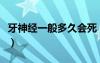 牙神經(jīng)一般多久會(huì)死（牙神經(jīng)多久能自然壞死）