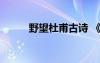 野望杜甫古詩 《野望》杜甫賞析