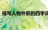 描寫(xiě)人物外貌的四字詞語(yǔ) 描寫(xiě)人的四字詞語(yǔ)