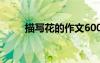 描寫花的作文600字 描寫花的作文