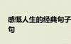 感慨人生的經(jīng)典句子大全 感慨人生的經(jīng)典語句