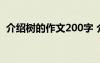 介紹樹(shù)的作文200字 介紹樹(shù)木的作文350字