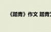 《踏青》作文 踏青為題目的作文400字