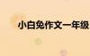 小白兔作文一年級100字 小白兔作文