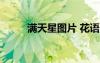 滿天星圖片 花語 滿天星圖片花語