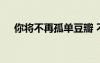 你將不再孤單豆瓣 不要再孤單歌詞參考