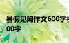 暑假見聞作文600字初中優(yōu)秀 暑假見聞作文600字