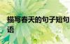 描寫春天的句子短句10字 有關(guān)描寫春天的詞語(yǔ)