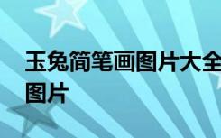 玉兔簡筆畫圖片大全簡單又漂亮 玉兔簡筆畫圖片