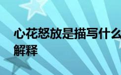 心花怒放是描寫什么的成語 心花怒放的詞語解釋