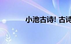 小池古詩! 古詩 《小池》全解